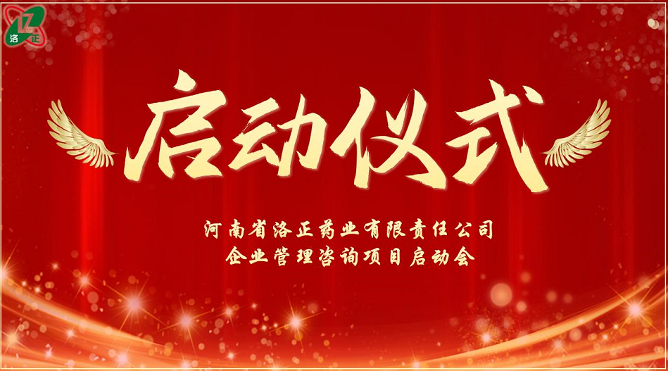 企業(yè)管理咨詢項目啟動儀式